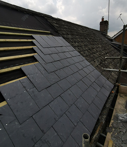 WhatsApp Image 2025 11 04 at 17.25.10 1